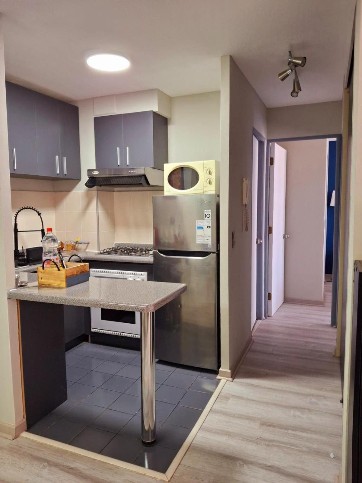 Exceptional Apartment, Historic Stgo Metro Sta Ana